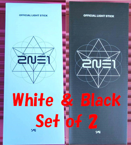 2ne1 2024 concert - concert, welcom